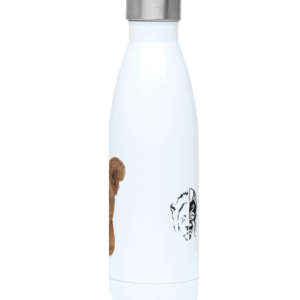 500ml Water Bottle with Lioness Artwork