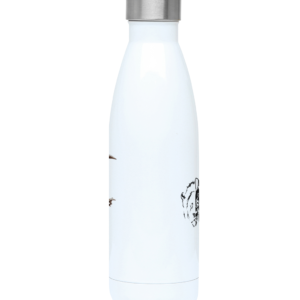 500ml Water Bottle with Bee Eater Artwork