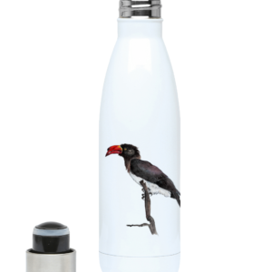 500ml Water Bottle with Hornbill Artwork