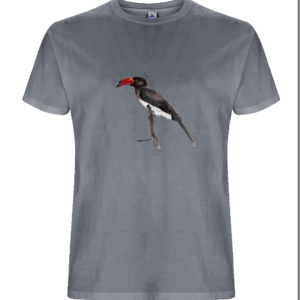 Men’s/Unisex T-shirt with Bee Eater Artwork